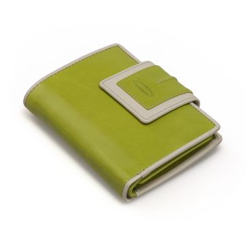 Apple N1369 mit Lasche grün