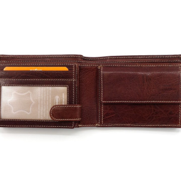 Arizona N1730.W8287 braun
