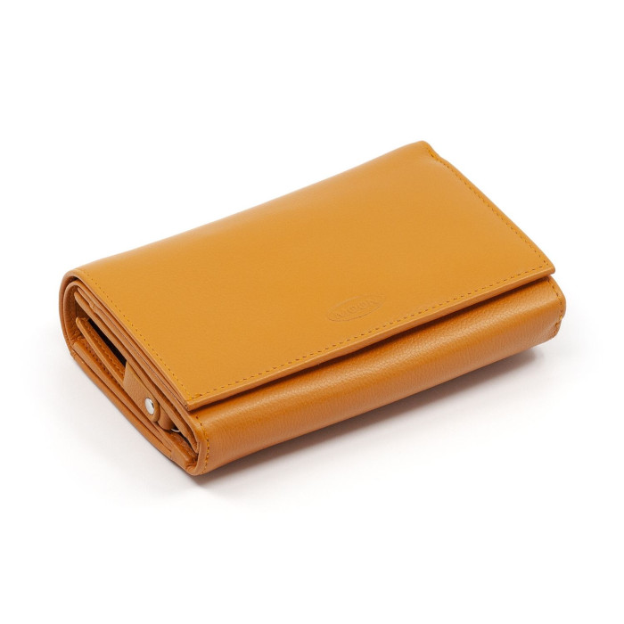 Big N1020 mango mit Ueberschlag f&uuml;r 12 Kreditkarten &ndash; Orange &ndash; Bild 1