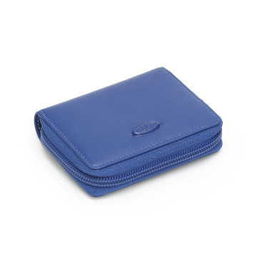 Kreditkartenetui N1490.C2925 dazzle